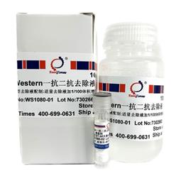 Western一抗二抗去除液（中性，劇烈型）