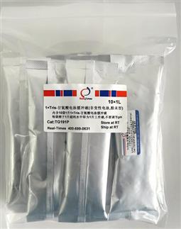 1×Tris-甘氨酸電泳緩沖液（非變性電泳，粉末型）
